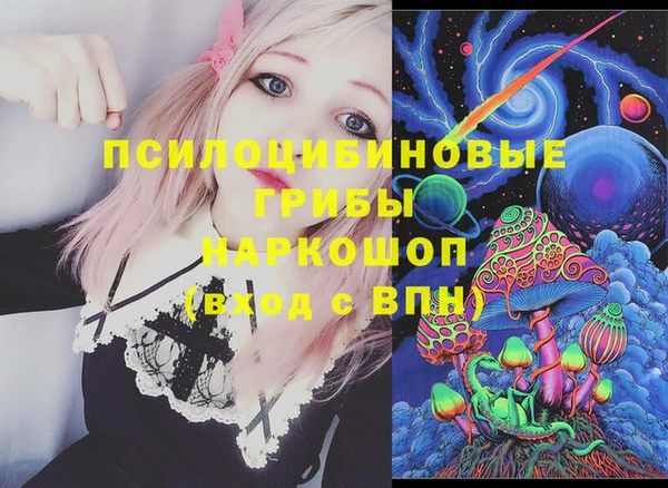 Альфа ПВП Белокуриха