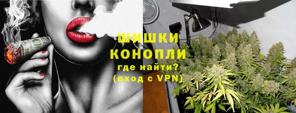 Альфа ПВП Белокуриха