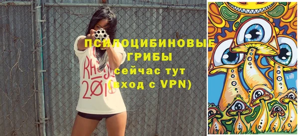 хмурый Магас