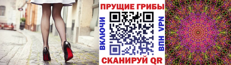 Галлюциногенные грибы Psilocybe  Сланцы 